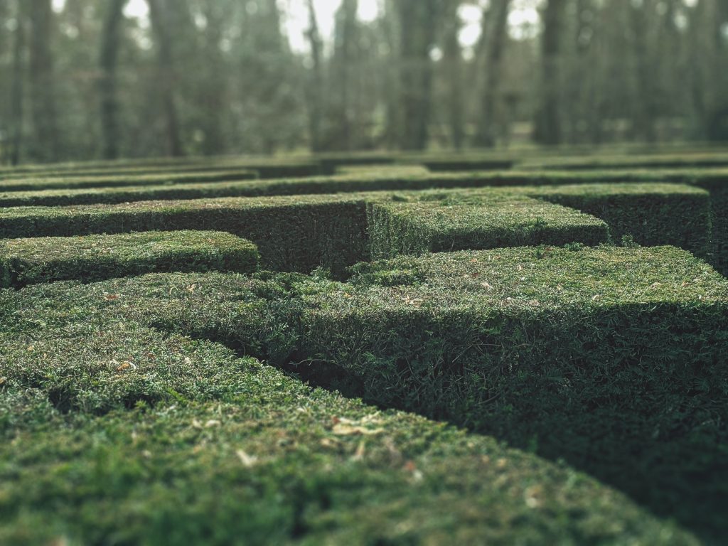 Labyrinth, Nische